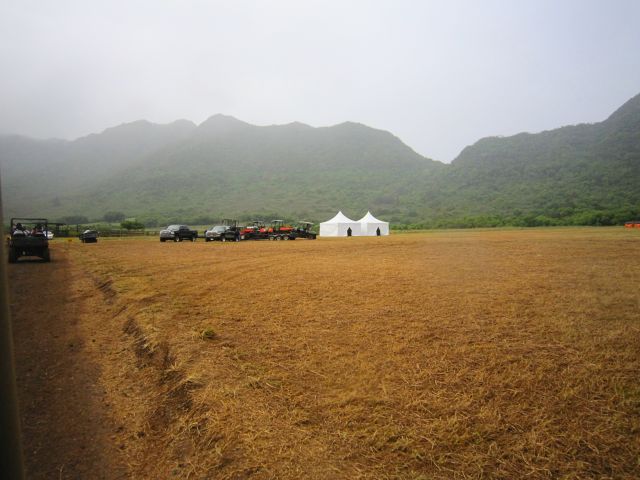 IMG 0449 copy